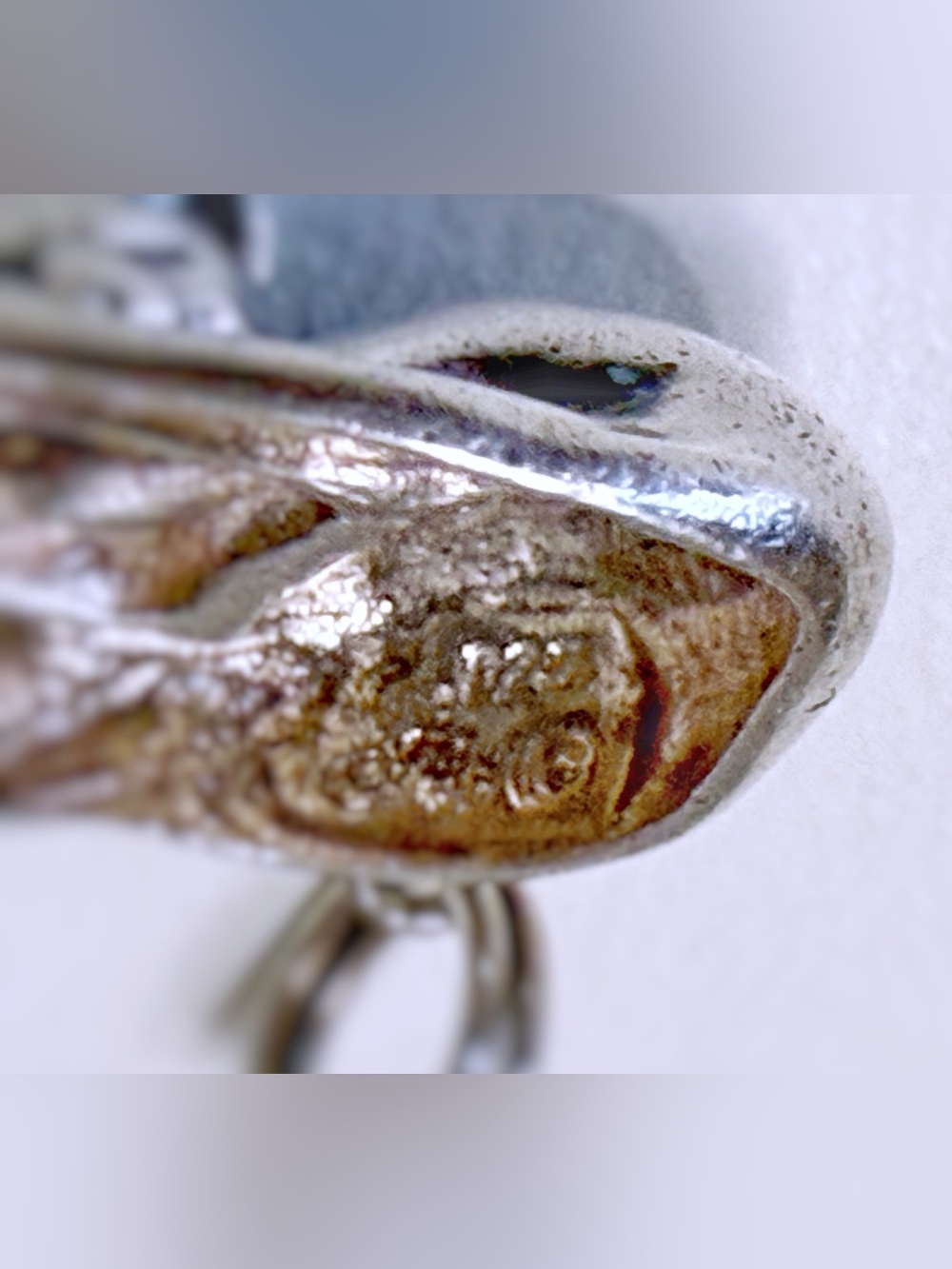 925 STERLING SILVER JEZ/JEZLAINE SLEEPING KITTY CAT, FELINE KITTEN VINTAGE CHARM - Picture 10 of 11